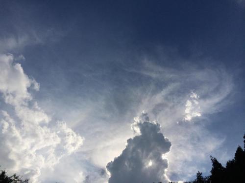 51486678_830482970620357_8101569387078615040_n